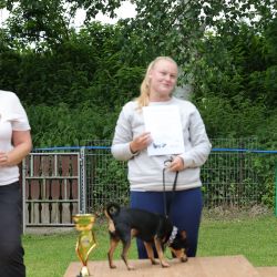 hunderennen 01 06 25