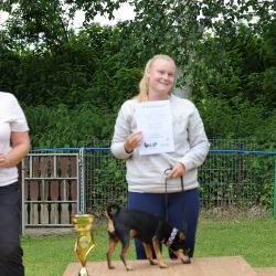 hunderennen 01 06 25