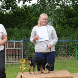 hunderennen 01 06 25