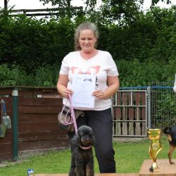 hunderennen 01 06 25