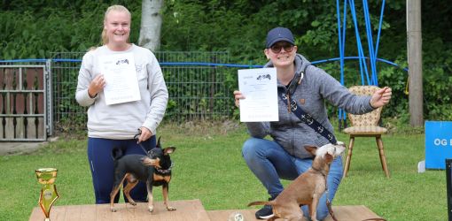 hunderennen 01 06 25