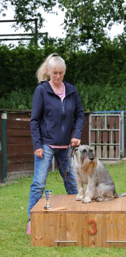 hunderennen 01 06 25