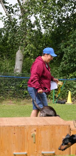 hunderennen 01 06 25