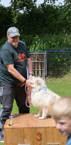 hunderennen 01 06 25