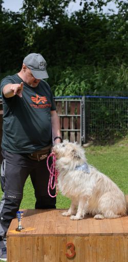 hunderennen 01 06 25