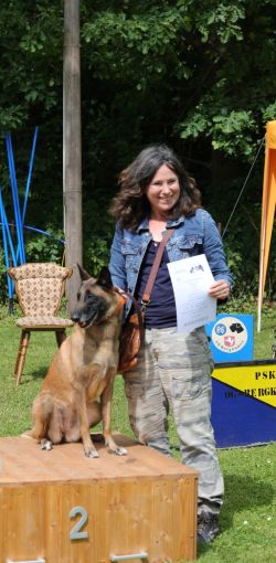 hunderennen 01 06 25