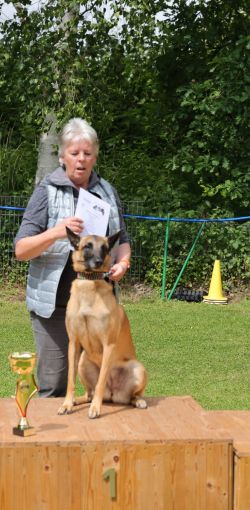 hunderennen 01 06 25