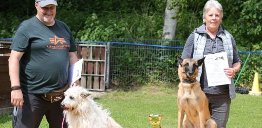 hunderennen 01 06 25