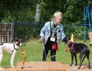 hunderennen 01 06 25