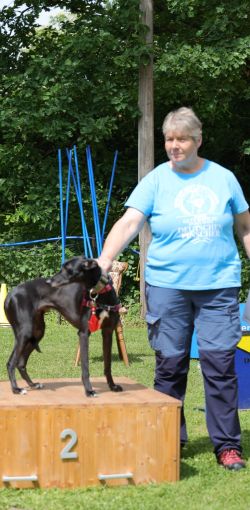 hunderennen 01 06 25