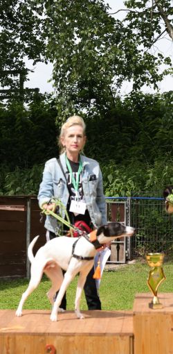 hunderennen 01 06 25