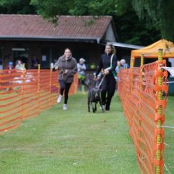 hunderennen 01 06 25