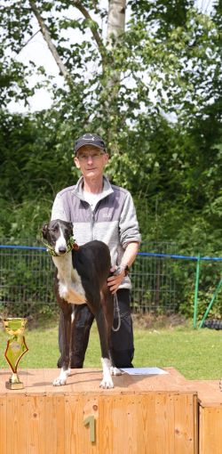 hunderennen 01 06 25