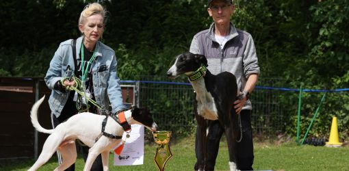 hunderennen 01 06 25