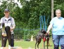 hunderennen 01 06 25