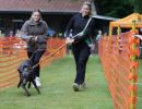 hunderennen 01 06 25