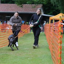hunderennen 01 06 25