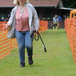 hunderennen 01 06 25