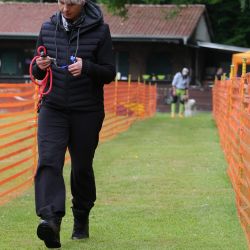 hunderennen 01 06 25