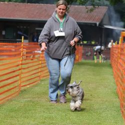 hunderennen 01 06 25