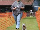 hunderennen 01 06 25