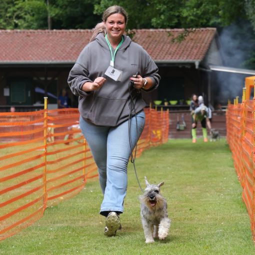 hunderennen 01 06 25