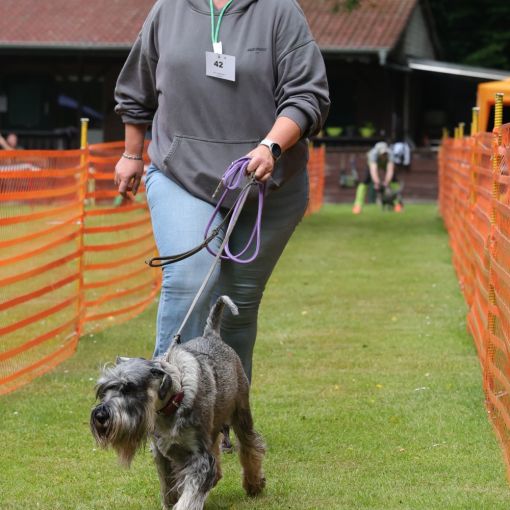 hunderennen 01 06 25