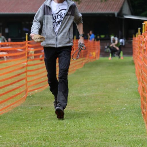 hunderennen 01 06 25