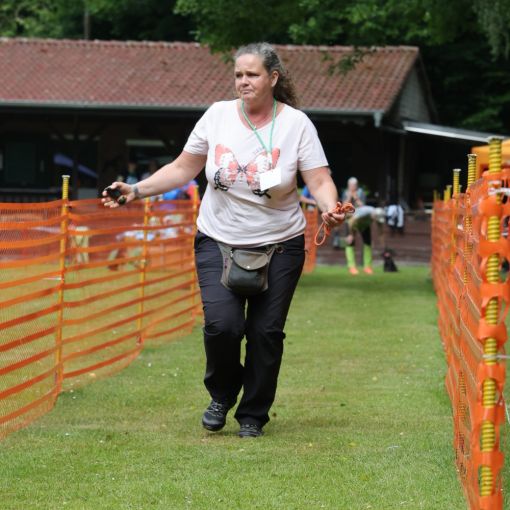 hunderennen 01 06 25