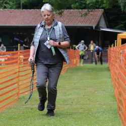 hunderennen 01 06 25