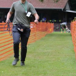 hunderennen 01 06 25