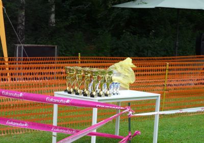 Hunderennen 02.06.2024