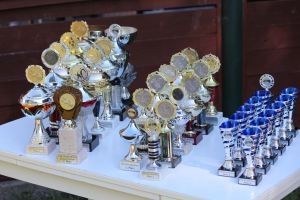 hunderennen 07 08 22l1