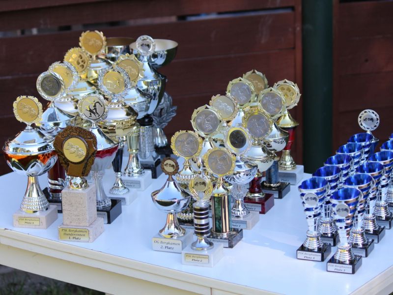 hunderennen 07 08 22l1