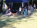 hunderennen 07 08 22l1