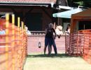 hunderennen 07 08 22l1
