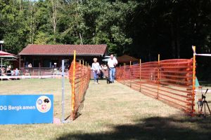 hunderennen 07 08 22l1