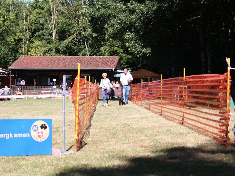 hunderennen 07 08 22l1