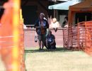 hunderennen 07 08l1