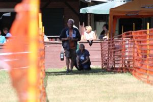 hunderennen 07 08l1