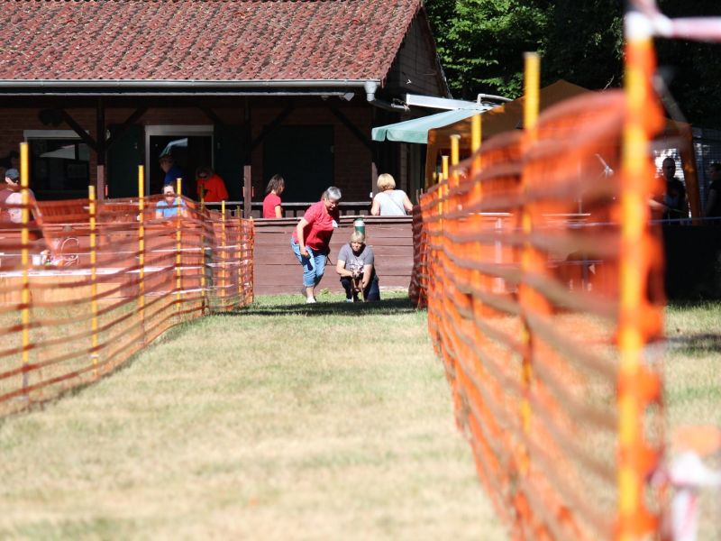 hunderennen 07 08 22l1