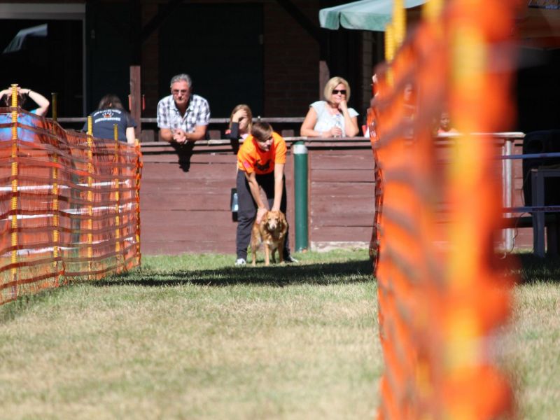hunderennen 07 08 22l1