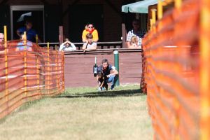 hunderennen 07 08 22l1