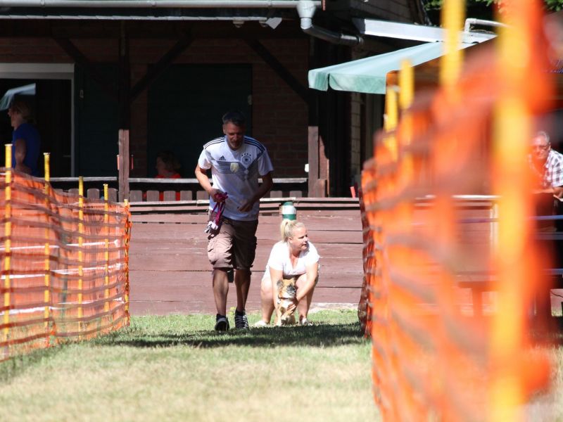 hunderennen 07 08 22l1