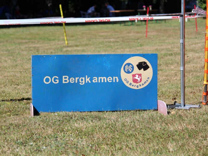 hunderennen 07 08 22l1