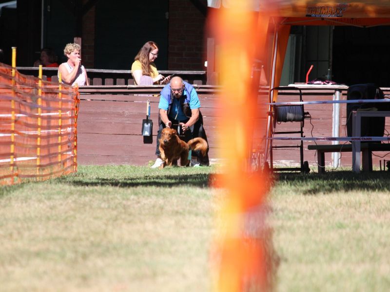 hunderennen 07 08 22l1