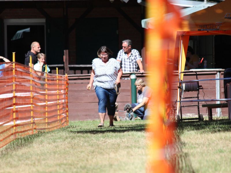 hunderennen 07 08 22l1