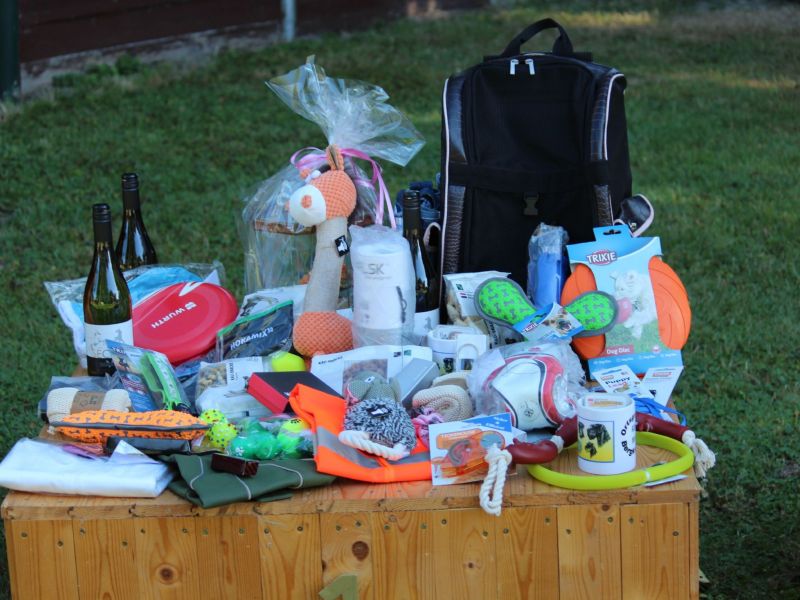 hunderennen 07 08l1