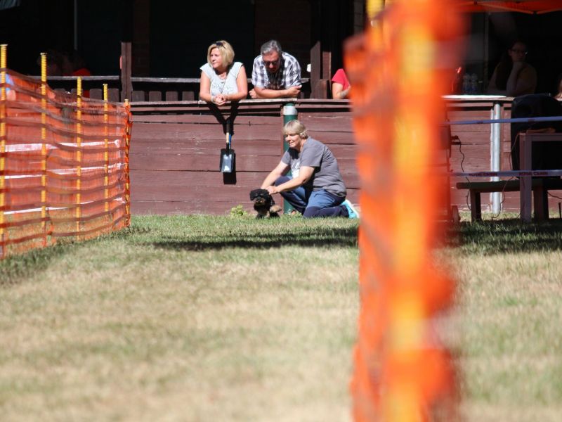 hunderennen 07 08 22l1
