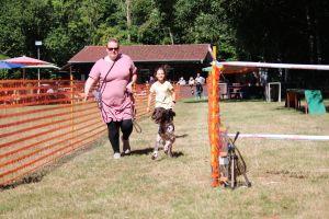hunderennen 07 08 22l1